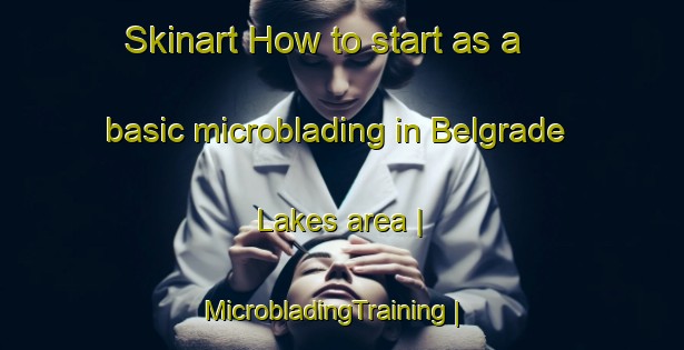 Skinart How to start as a basic microblading in Belgrade Lakes area | MicrobladingTraining | MicrobladingClasses | SkinartTraining-United States